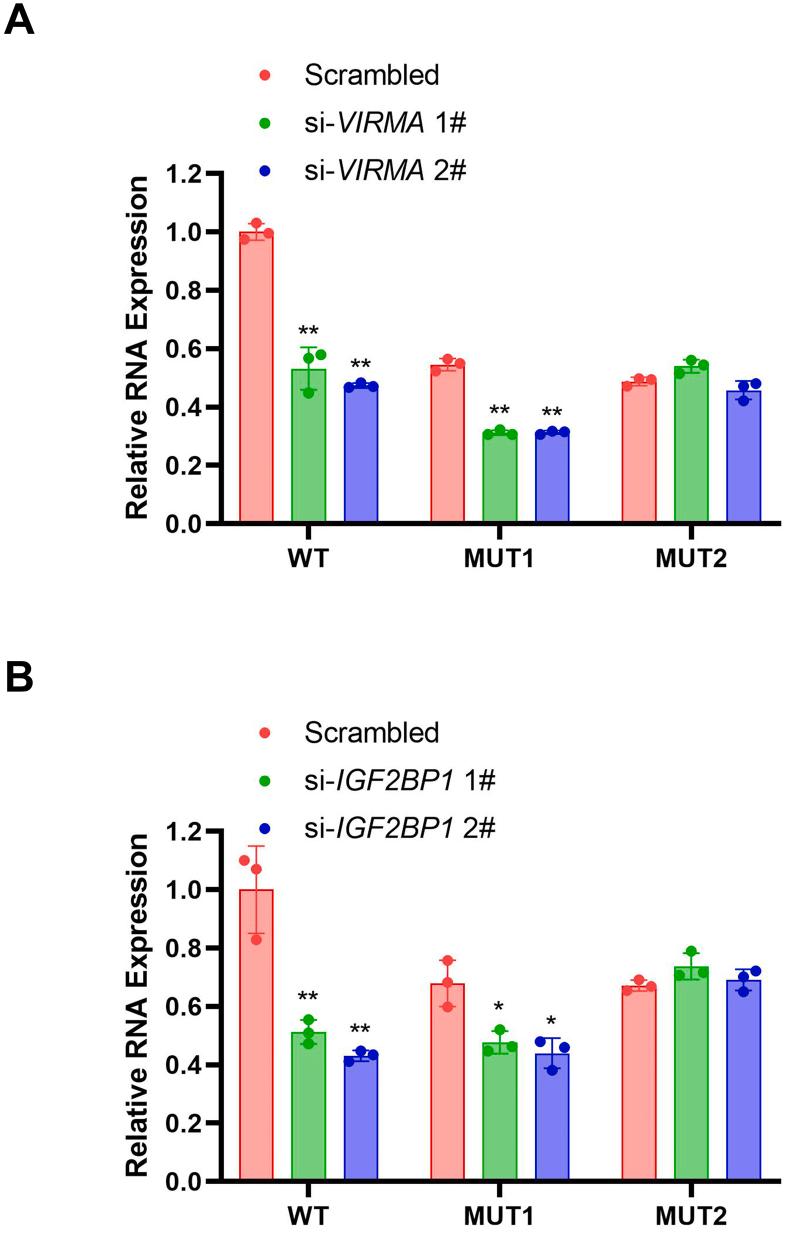 https://cdn.ncbi.nlm.nih.gov/pmc/blobs/91c5/10302167/298701165d5e/figs9.jpg