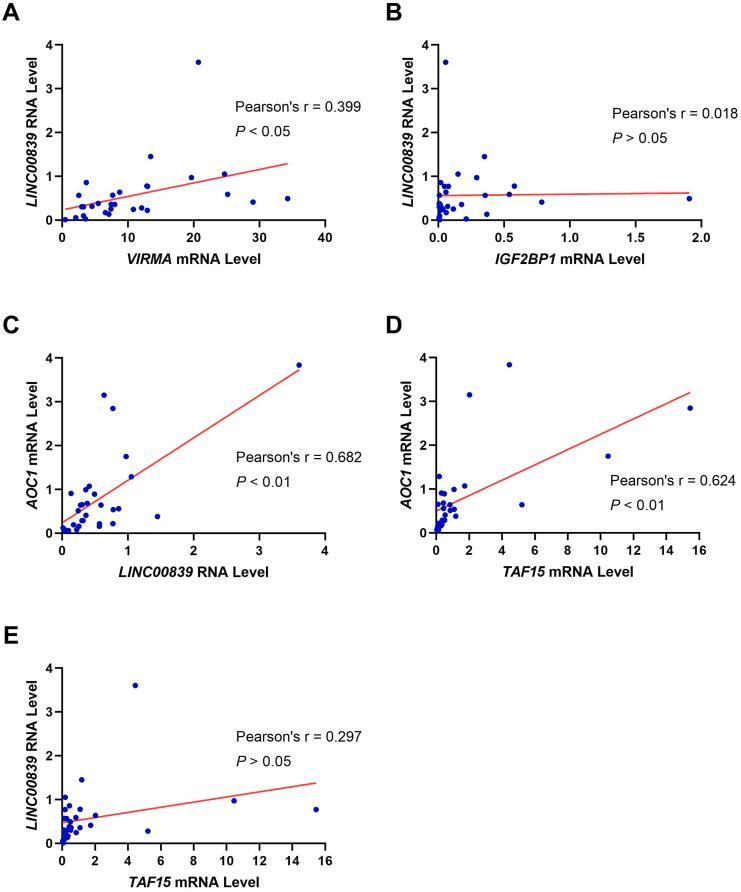 https://cdn.ncbi.nlm.nih.gov/pmc/blobs/91c5/10302167/472abc5e8572/figs10.jpg