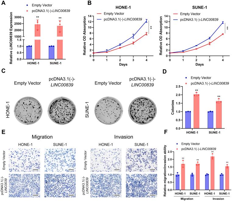 https://cdn.ncbi.nlm.nih.gov/pmc/blobs/91c5/10302167/82beb75a59f6/figs2.jpg
