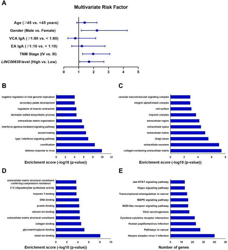 https://cdn.ncbi.nlm.nih.gov/pmc/blobs/91c5/10302167/c4d19ce8adf7/figs1.jpg
