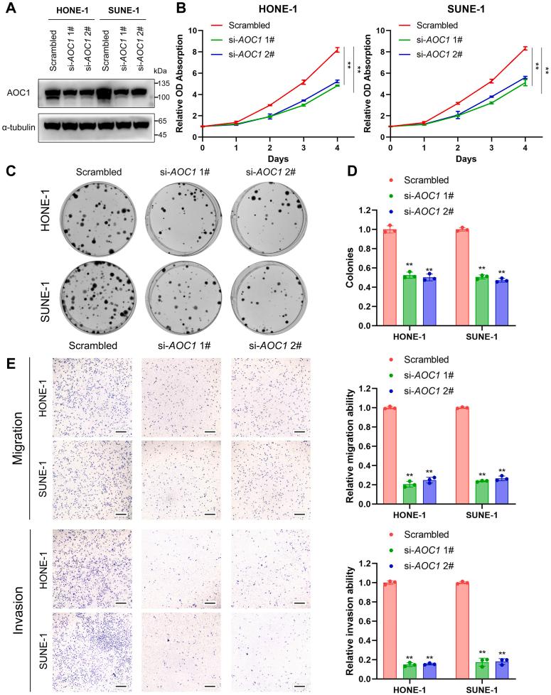https://cdn.ncbi.nlm.nih.gov/pmc/blobs/91c5/10302167/fa9f1397aa2a/figs6.jpg