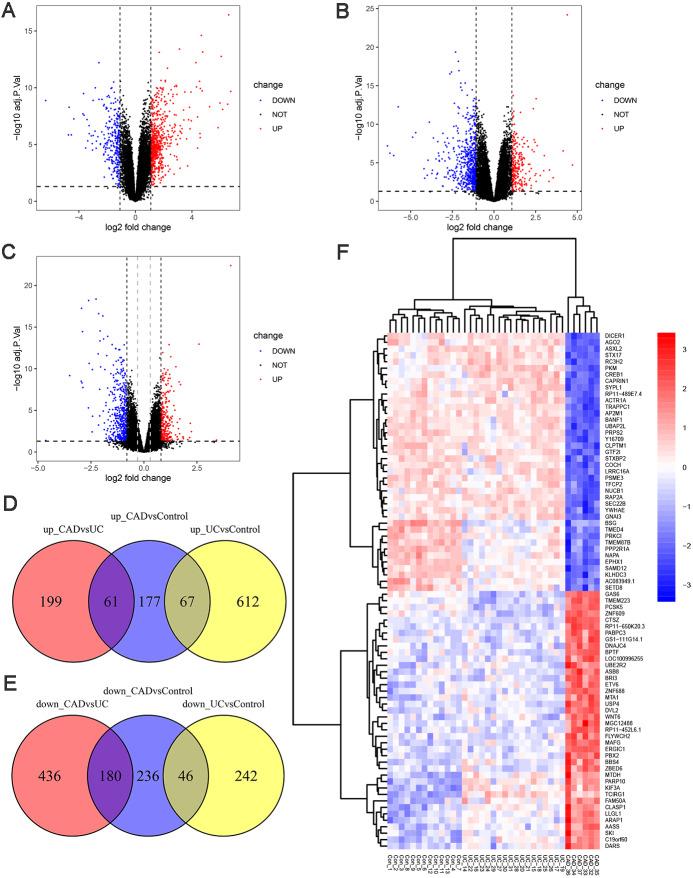 https://cdn.ncbi.nlm.nih.gov/pmc/blobs/91c6/8086577/67d5e5cf8f58/peerj-09-11321-g002.jpg