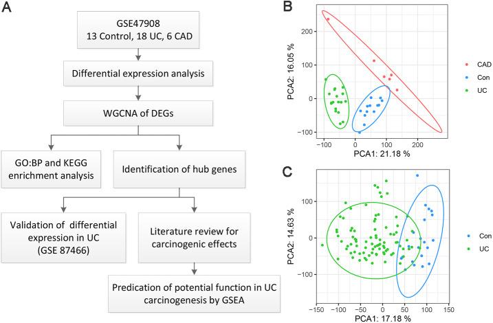 https://cdn.ncbi.nlm.nih.gov/pmc/blobs/91c6/8086577/a527b7b53187/peerj-09-11321-g001.jpg