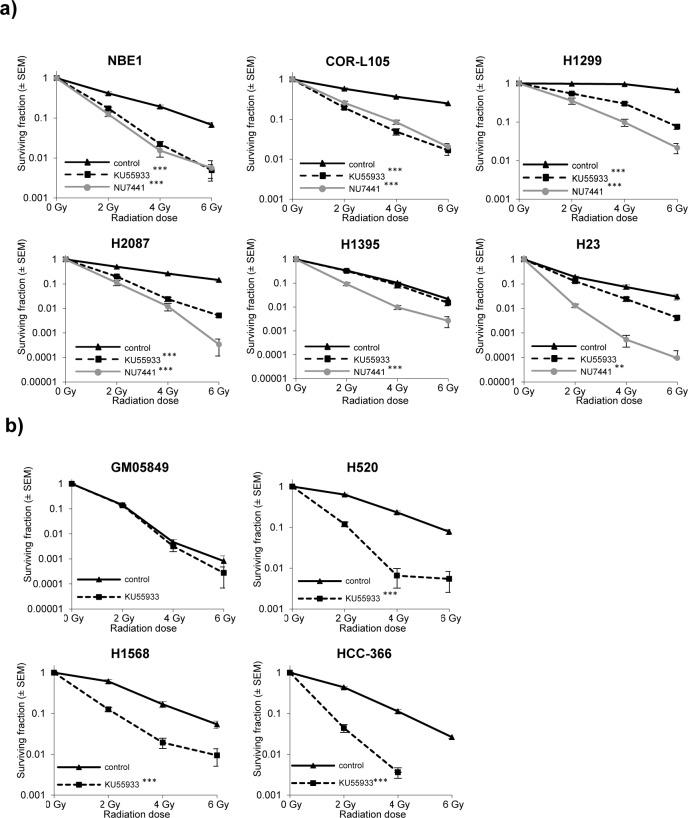 https://cdn.ncbi.nlm.nih.gov/pmc/blobs/91ca/5308618/395e15aafcfc/oncotarget-07-60807-g004.jpg