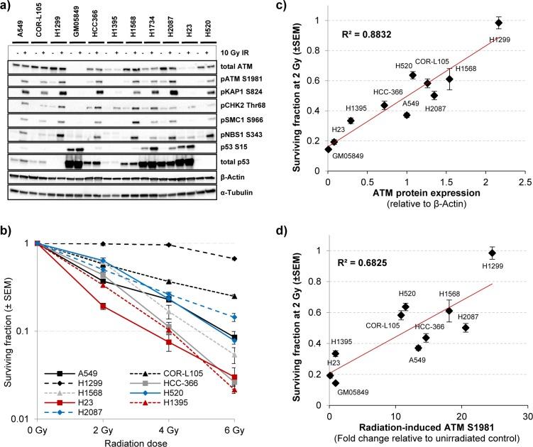 https://cdn.ncbi.nlm.nih.gov/pmc/blobs/91ca/5308618/5f3588b0547e/oncotarget-07-60807-g002.jpg
