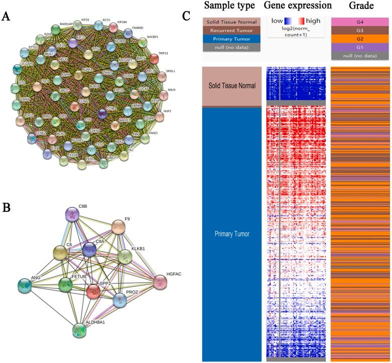 https://cdn.ncbi.nlm.nih.gov/pmc/blobs/91cd/6677124/8729207a9da2/peerj-07-7408-g004.jpg