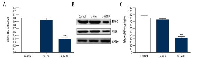 https://cdn.ncbi.nlm.nih.gov/pmc/blobs/91d1/6131978/ff29e16f0a82/medscimonit-24-6137-g005.jpg