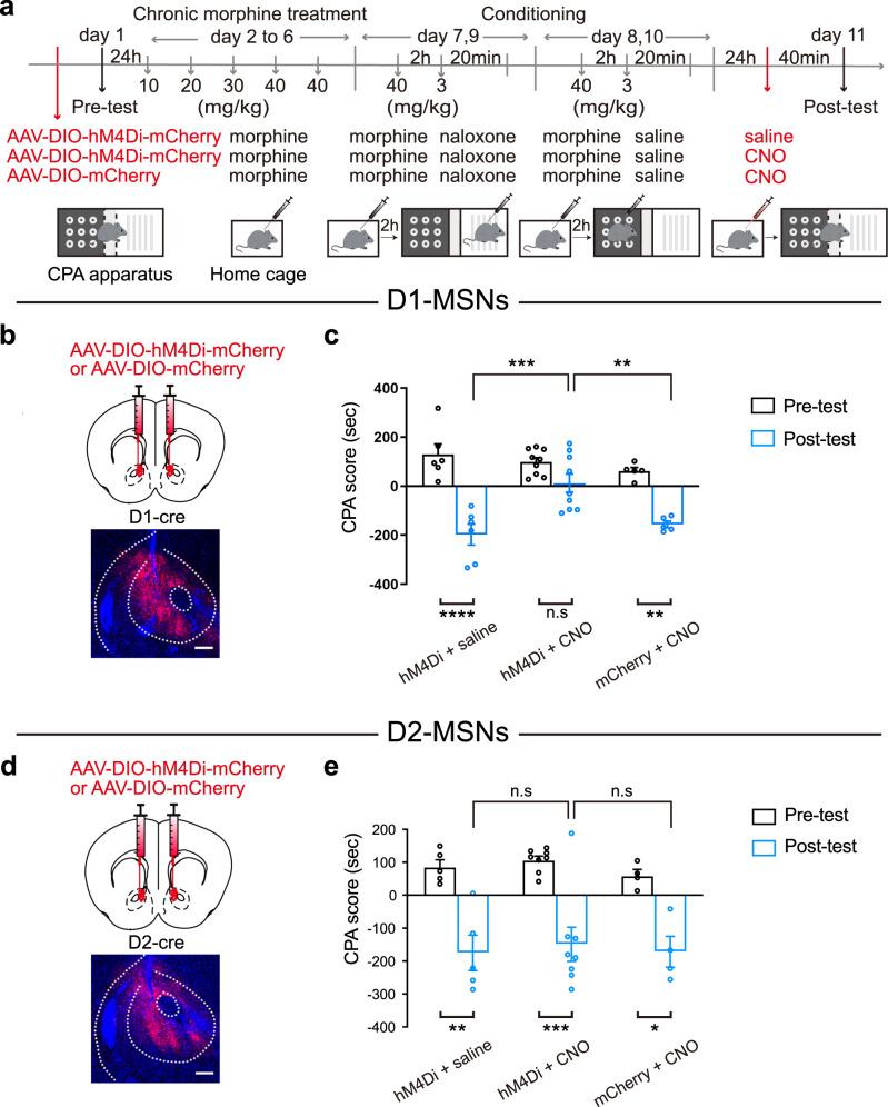 https://cdn.ncbi.nlm.nih.gov/pmc/blobs/91dd/9814415/1f84dc591a8a/41467_2022_35758_Fig2_HTML.jpg