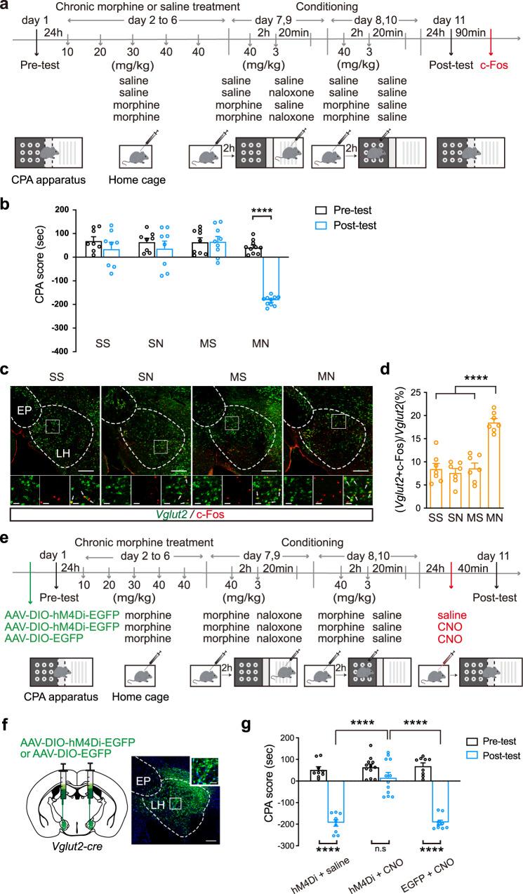 https://cdn.ncbi.nlm.nih.gov/pmc/blobs/91dd/9814415/65e76e12e9da/41467_2022_35758_Fig1_HTML.jpg
