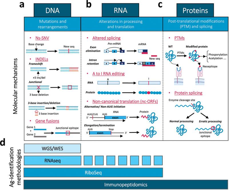 https://cdn.ncbi.nlm.nih.gov/pmc/blobs/9204/10863374/8ff4ade673e8/KHVI_A_2303799_F0001_OC.jpg