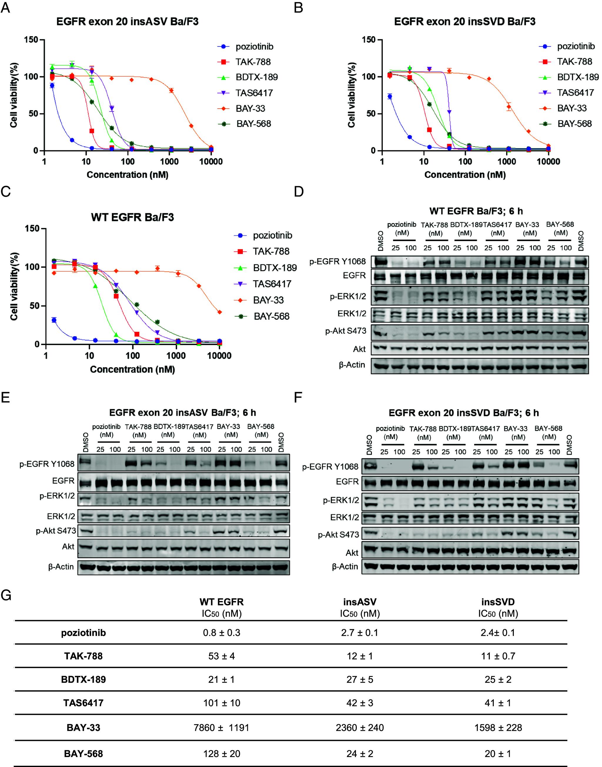 https://cdn.ncbi.nlm.nih.gov/pmc/blobs/920d/11551396/d7e14851f8a1/pnas.2417144121fig03.jpg