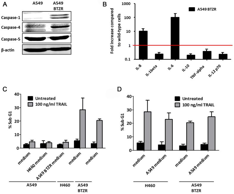 https://cdn.ncbi.nlm.nih.gov/pmc/blobs/9214/11149110/5818128203d5/cdr-7-12.fig.4.jpg