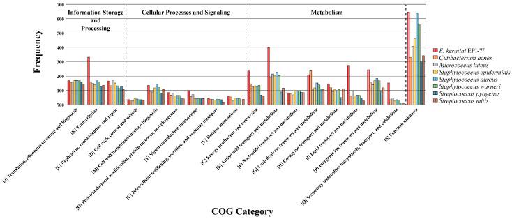 https://cdn.ncbi.nlm.nih.gov/pmc/blobs/9221/10143877/a8cc56e897c0/microorganisms-11-00870-g007.jpg