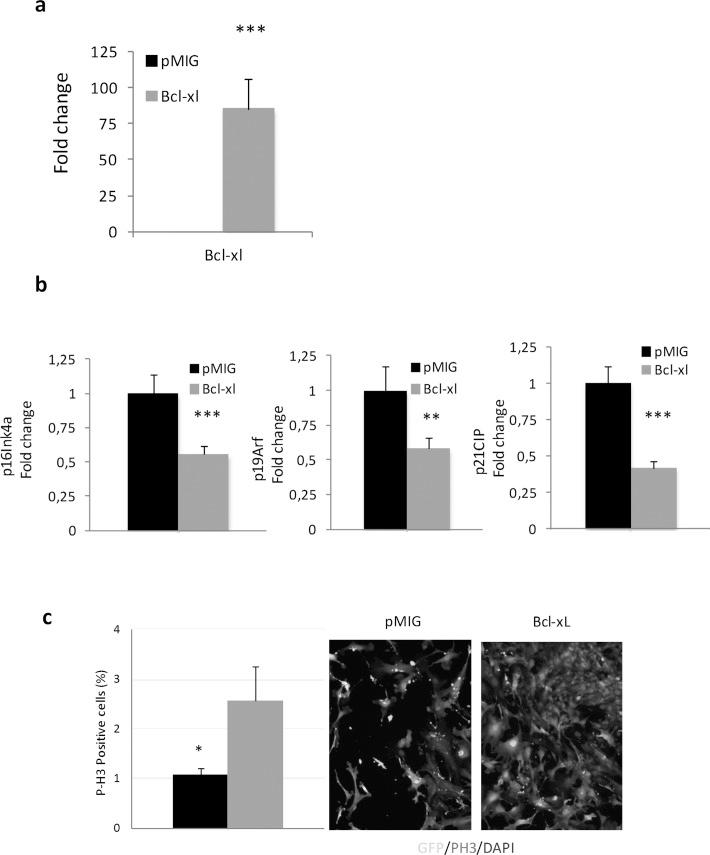 https://cdn.ncbi.nlm.nih.gov/pmc/blobs/9249/5270663/d85338d6226b/aging-08-3185-g005a.jpg