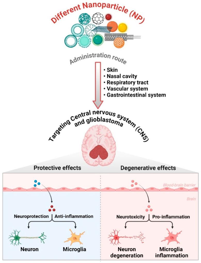 https://cdn.ncbi.nlm.nih.gov/pmc/blobs/9258/11852615/390c080e34bc/cancers-17-00701-g002.jpg
