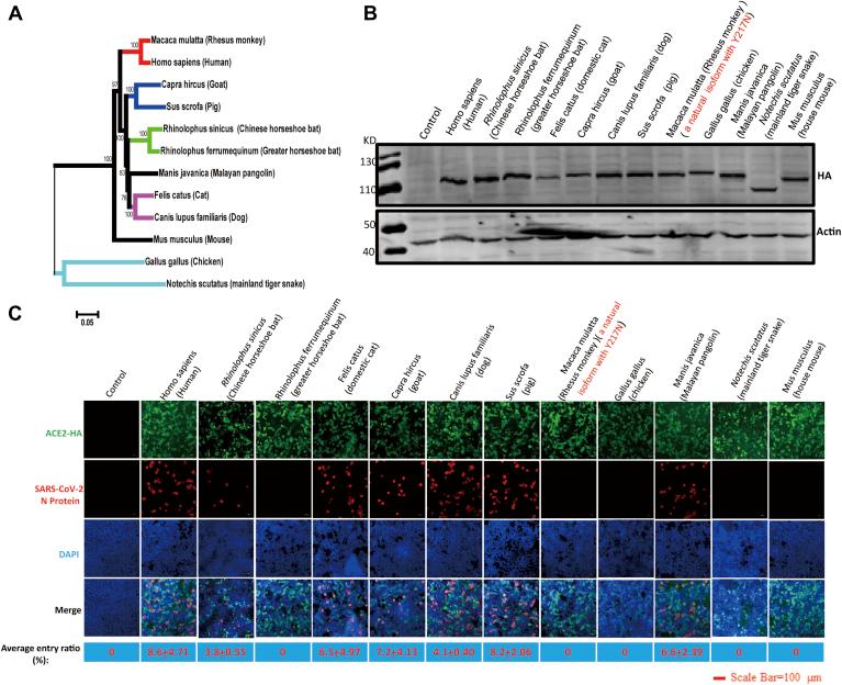 https://cdn.ncbi.nlm.nih.gov/pmc/blobs/9261/8010700/6cfa6c79c01e/gr1.jpg