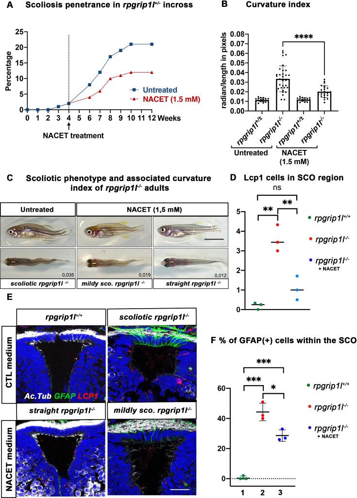 https://cdn.ncbi.nlm.nih.gov/pmc/blobs/9274/11466456/8ce3bf77da97/elife-96831-fig7.jpg