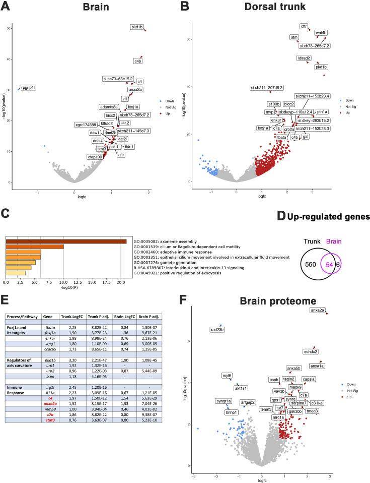 https://cdn.ncbi.nlm.nih.gov/pmc/blobs/9274/11466456/eccd6b688632/elife-96831-fig5.jpg