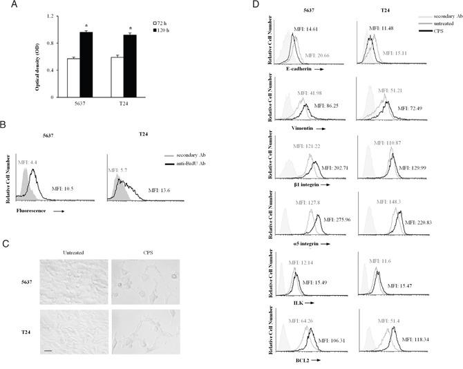 https://cdn.ncbi.nlm.nih.gov/pmc/blobs/92aa/5226576/3a167b48a4c0/oncotarget-07-50180-g004.jpg