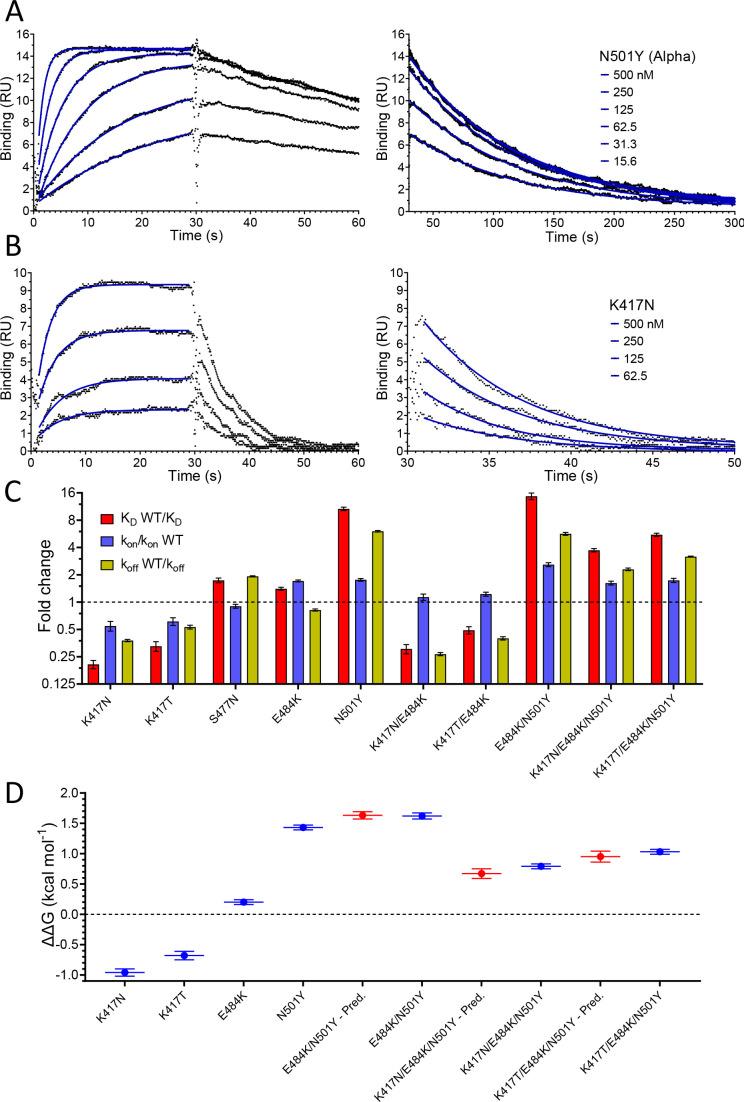 https://cdn.ncbi.nlm.nih.gov/pmc/blobs/92c7/8480977/00818030b65e/elife-70658-fig3.jpg