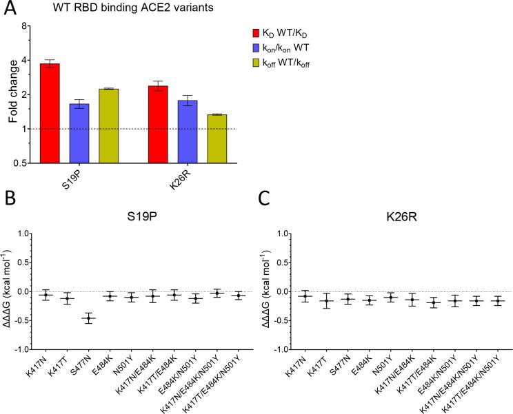 https://cdn.ncbi.nlm.nih.gov/pmc/blobs/92c7/8480977/44688be6e068/elife-70658-fig4.jpg