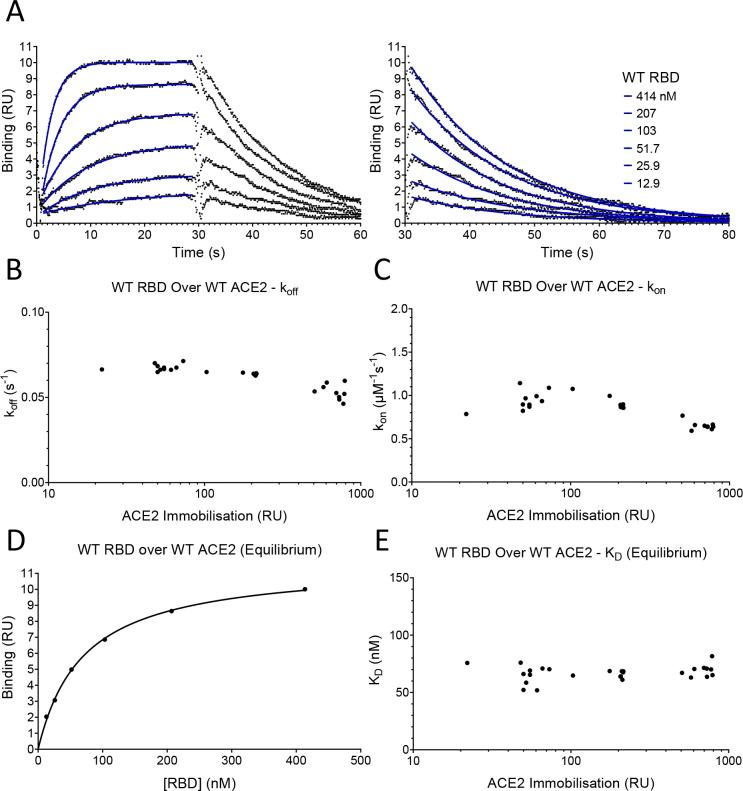 https://cdn.ncbi.nlm.nih.gov/pmc/blobs/92c7/8480977/c652662e565d/elife-70658-fig2.jpg