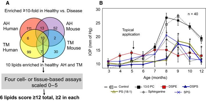 https://cdn.ncbi.nlm.nih.gov/pmc/blobs/92d2/7171415/27e5b0a06561/JCMM-24-3856-g006.jpg