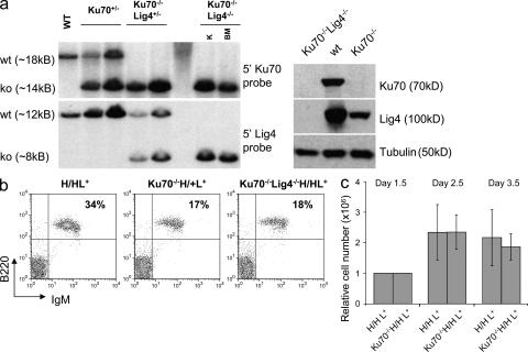 https://cdn.ncbi.nlm.nih.gov/pmc/blobs/92d3/2822597/372da317faa4/JEM_20092449_GS_Fig1.jpg