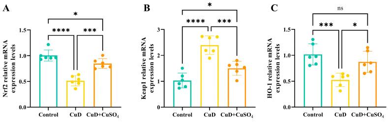 https://cdn.ncbi.nlm.nih.gov/pmc/blobs/92de/11722843/b1685bc17fad/nutrients-17-00117-g005.jpg