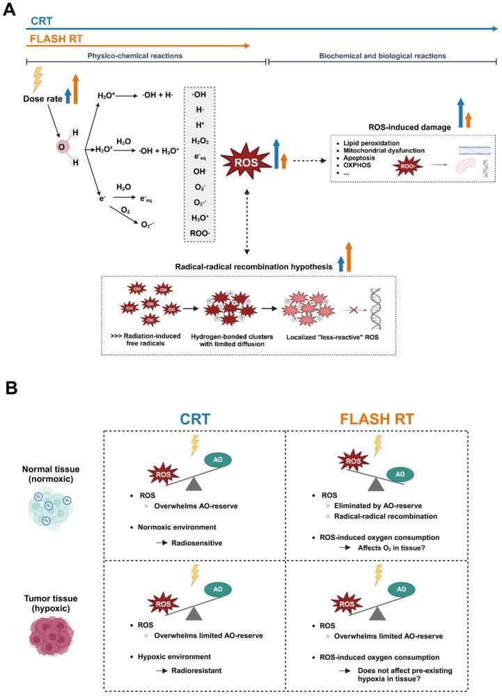 https://cdn.ncbi.nlm.nih.gov/pmc/blobs/92e8/11720285/85d16c5fbc12/cancers-17-00133-g002.jpg