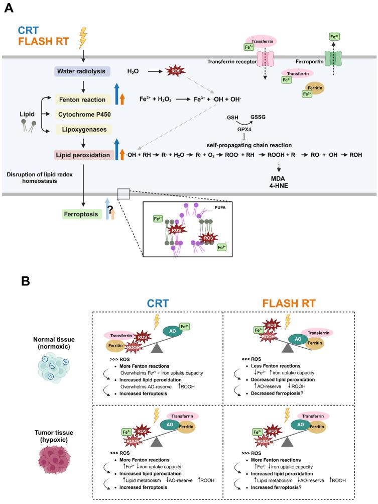 https://cdn.ncbi.nlm.nih.gov/pmc/blobs/92e8/11720285/c3e40e100afb/cancers-17-00133-g003.jpg