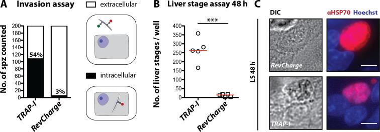 https://cdn.ncbi.nlm.nih.gov/pmc/blobs/92fb/7351488/15b8a1b54379/elife-57572-fig6-figsupp2.jpg