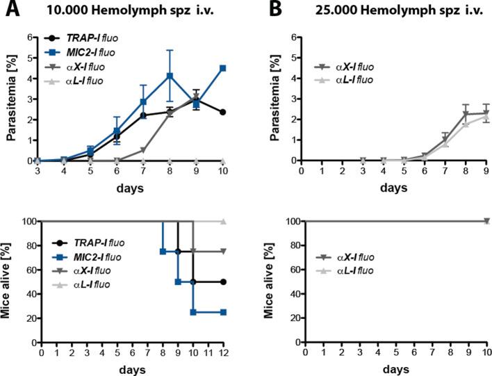 https://cdn.ncbi.nlm.nih.gov/pmc/blobs/92fb/7351488/3203607f0693/elife-57572-fig3-figsupp3.jpg