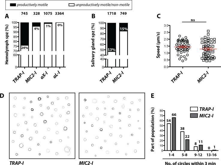 https://cdn.ncbi.nlm.nih.gov/pmc/blobs/92fb/7351488/4b016fab9489/elife-57572-fig4.jpg