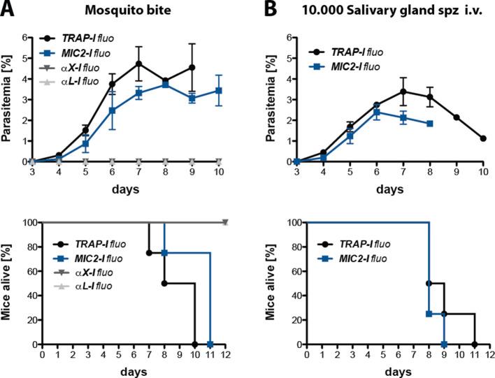 https://cdn.ncbi.nlm.nih.gov/pmc/blobs/92fb/7351488/c9d83500dce6/elife-57572-fig3-figsupp2.jpg