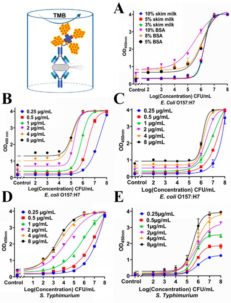 https://cdn.ncbi.nlm.nih.gov/pmc/blobs/9303/12109803/9659881fd291/biosensors-15-00318-g002.jpg