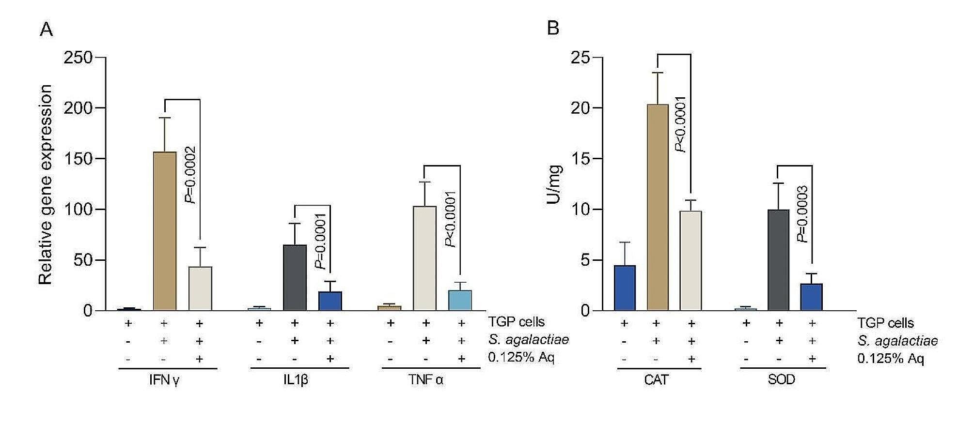 https://cdn.ncbi.nlm.nih.gov/pmc/blobs/9309/11129440/7e6821b83e16/13620_2024_272_Fig3_HTML.jpg