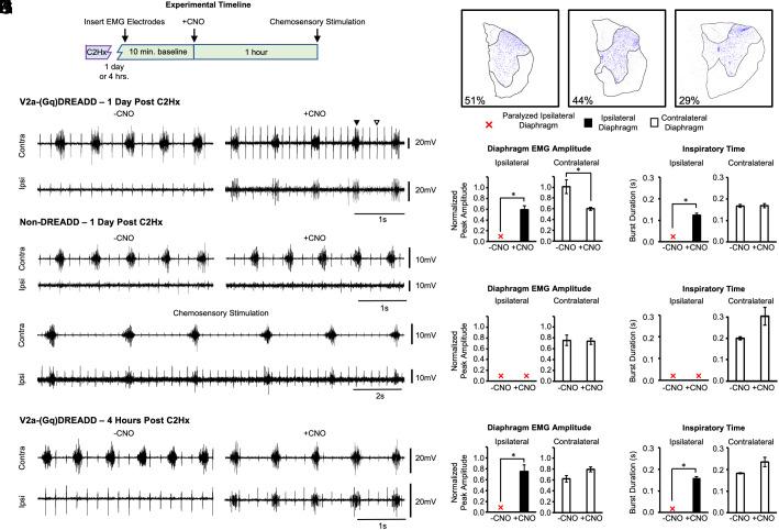 https://cdn.ncbi.nlm.nih.gov/pmc/blobs/930a/10945804/c492a45d75a1/pnas.2313594121fig02.jpg
