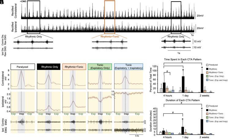 https://cdn.ncbi.nlm.nih.gov/pmc/blobs/930a/10945804/d5c7fd643406/pnas.2313594121fig04.jpg
