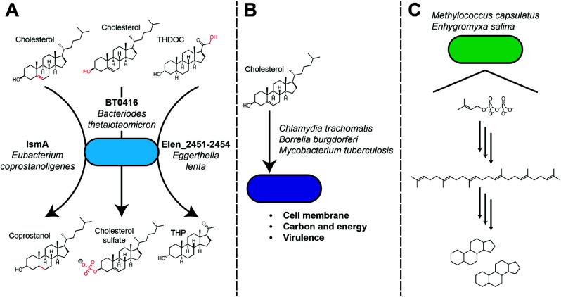 https://cdn.ncbi.nlm.nih.gov/pmc/blobs/932b/11713862/4f6436b4c2b6/ar4c00540_0002.jpg