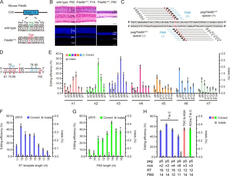 https://cdn.ncbi.nlm.nih.gov/pmc/blobs/9358/10037108/18d3950b04a1/JEM_20220776_Fig1.jpg