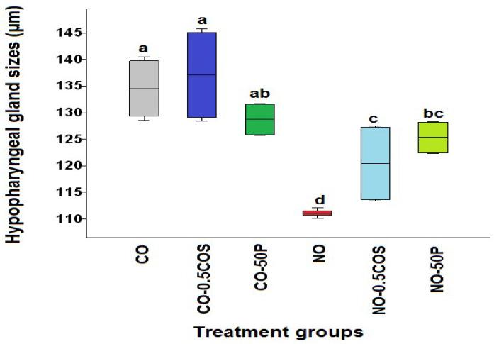 https://cdn.ncbi.nlm.nih.gov/pmc/blobs/9362/8308750/fc79fa9ac82a/pathogens-10-00785-g005.jpg