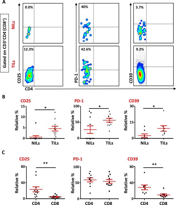 https://cdn.ncbi.nlm.nih.gov/pmc/blobs/9378/5464858/75e5fce9350a/oncotarget-08-33159-g003.jpg