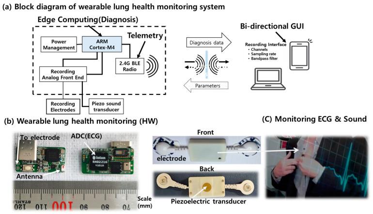 https://cdn.ncbi.nlm.nih.gov/pmc/blobs/93a2/10422350/6c250083e889/sensors-23-06790-g001.jpg