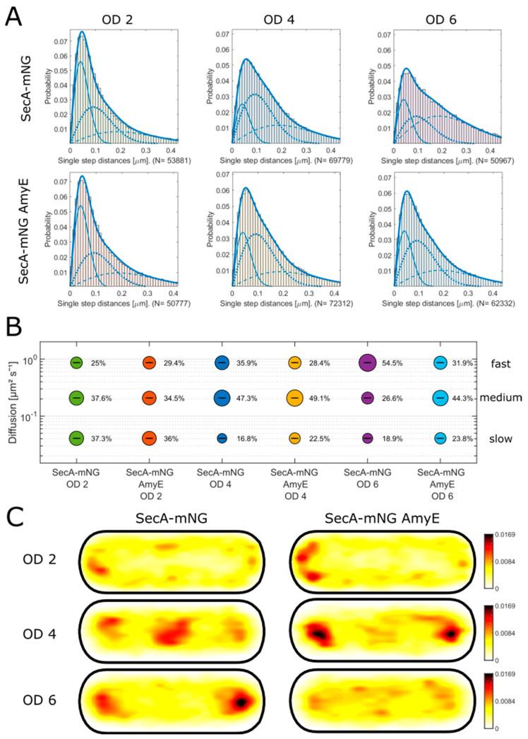 https://cdn.ncbi.nlm.nih.gov/pmc/blobs/93a9/10930709/09f9a4289f95/cells-13-00377-g001.jpg