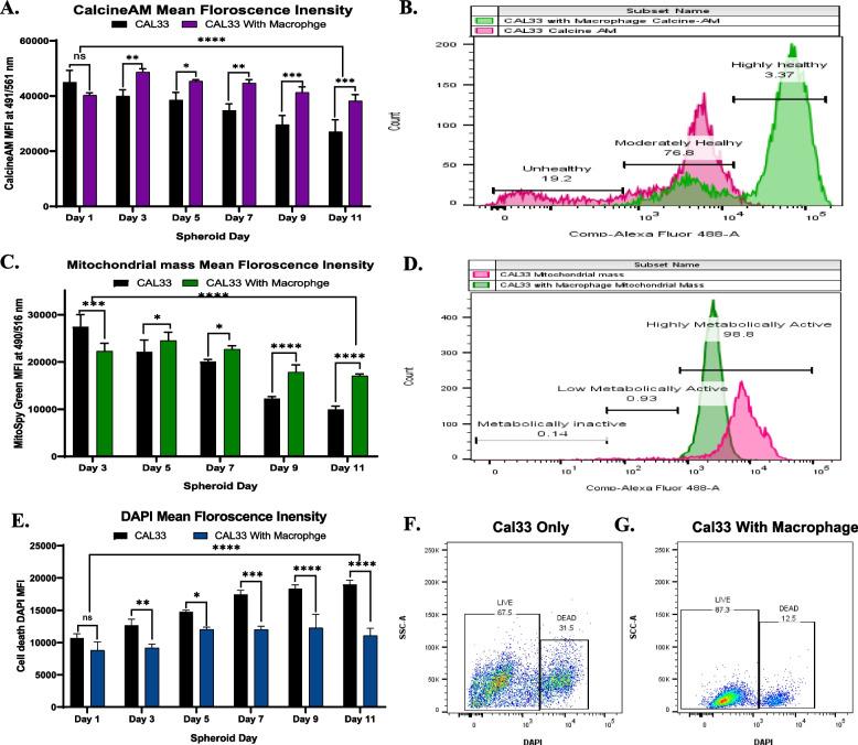 https://cdn.ncbi.nlm.nih.gov/pmc/blobs/93be/10701966/57faa12180b6/12885_2023_11674_Fig3_HTML.jpg