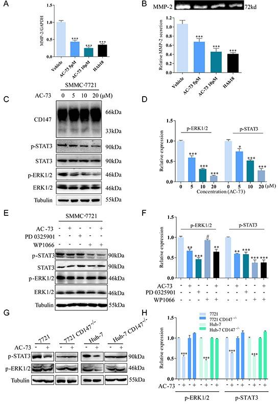 https://cdn.ncbi.nlm.nih.gov/pmc/blobs/93d8/4891050/fa1197e36be4/oncotarget-07-9429-g004.jpg