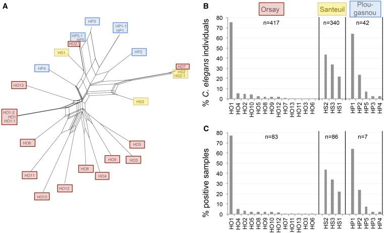 https://cdn.ncbi.nlm.nih.gov/pmc/blobs/93dd/5788539/cf29fe9b566c/807fig1.jpg
