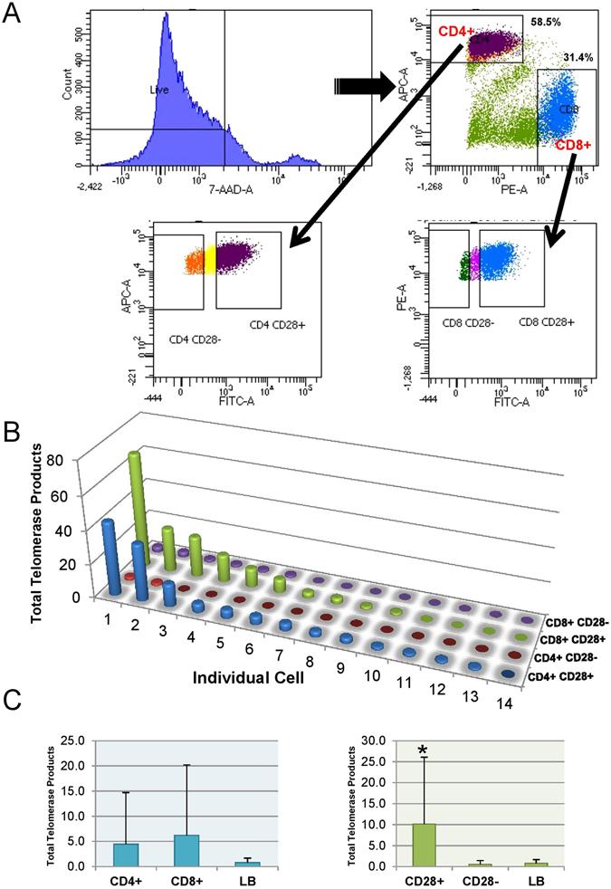 https://cdn.ncbi.nlm.nih.gov/pmc/blobs/93f2/5533788/f0bc4eb532eb/41598_2017_5174_Fig5_HTML.jpg