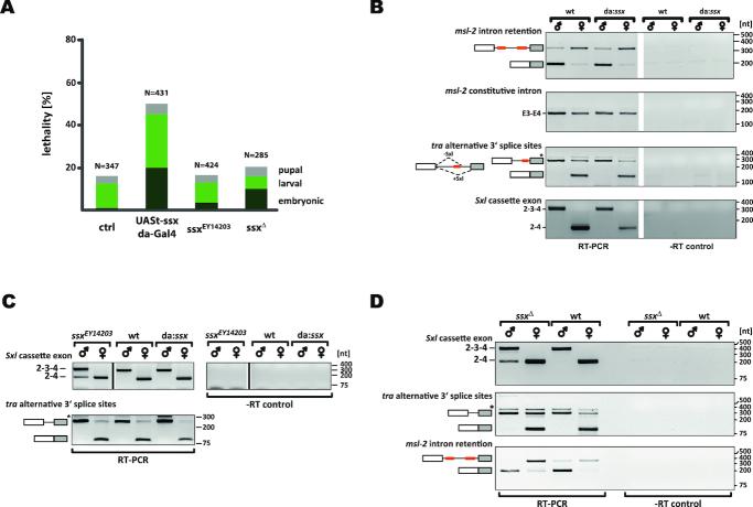 https://cdn.ncbi.nlm.nih.gov/pmc/blobs/941d/6411925/a1b80cf75aae/gky1284fig4.jpg